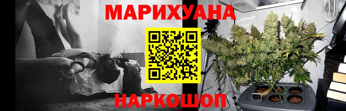 Бошки Шишки конопля Ногинск